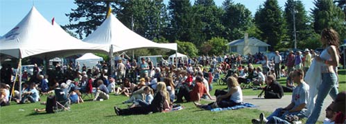 festival in dougal park