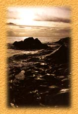 coast pic
